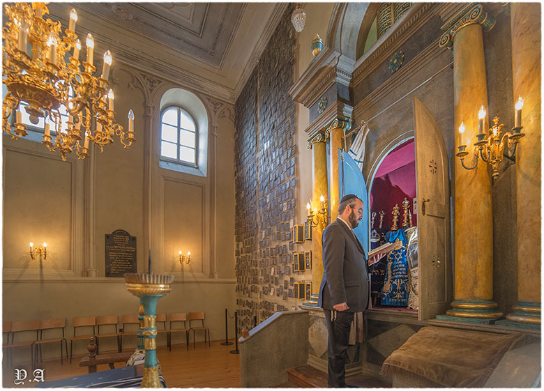 אטרקציות לחורף בוינה - בית הכנסת הגדול
