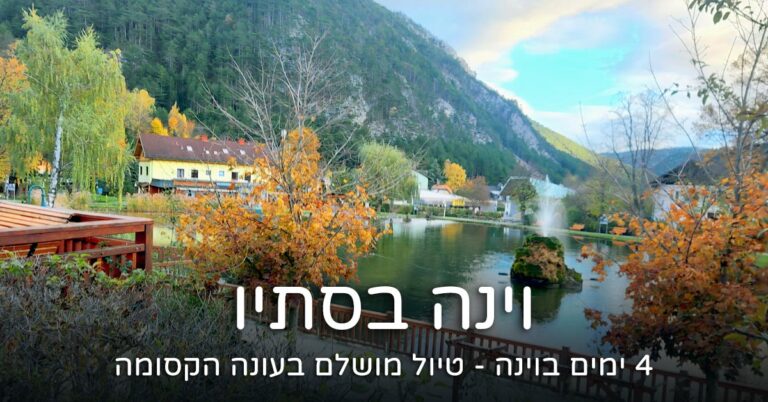 4 ימים בוינה