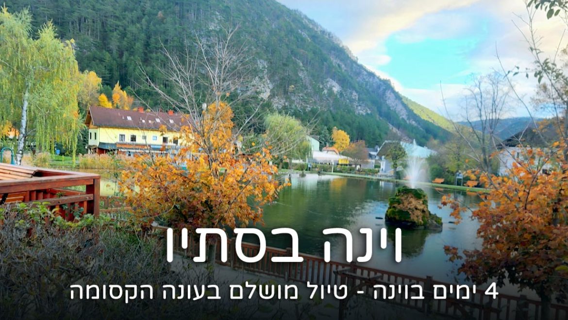 4 ימים בוינה – מסלול טיול מושלם בעונת הסתיו