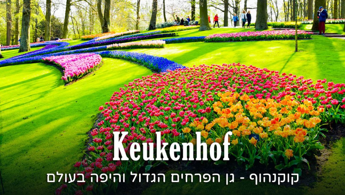 גני קוקנהוף בהולנד – גן הפרחים הגדול בעולם 2023