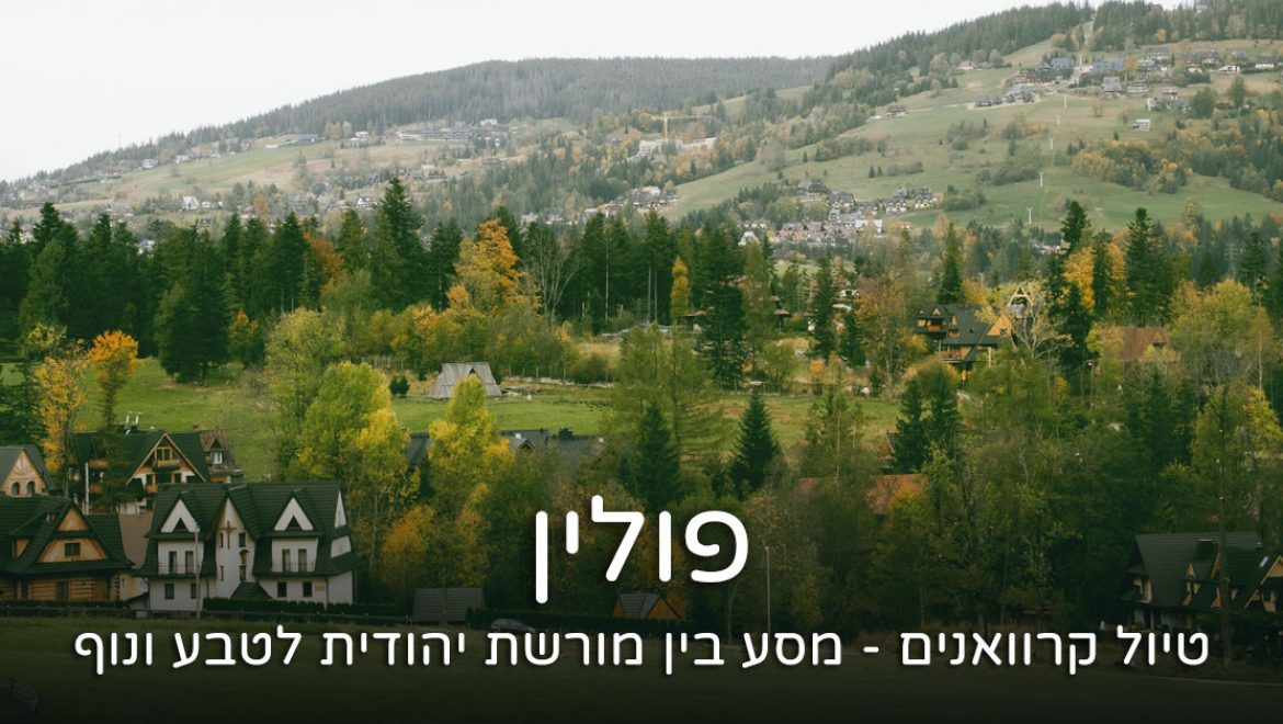 טיול קרוואנים בפולין: מסע בין מורשת יהודית לטבע ונוף